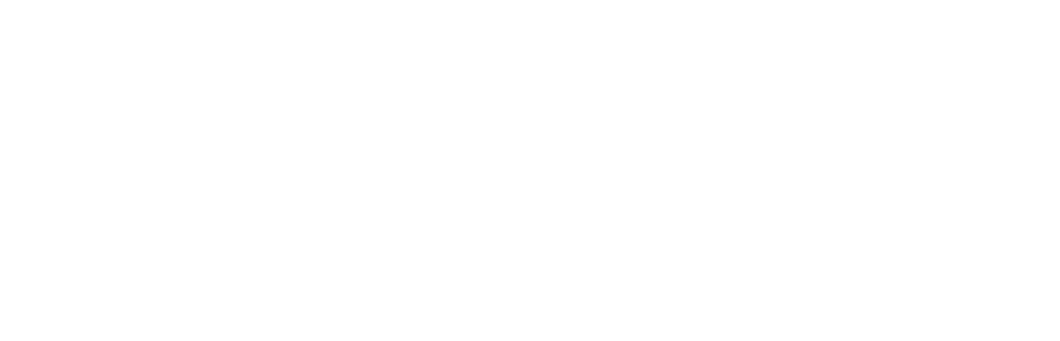 Logo techcamp Hamburg