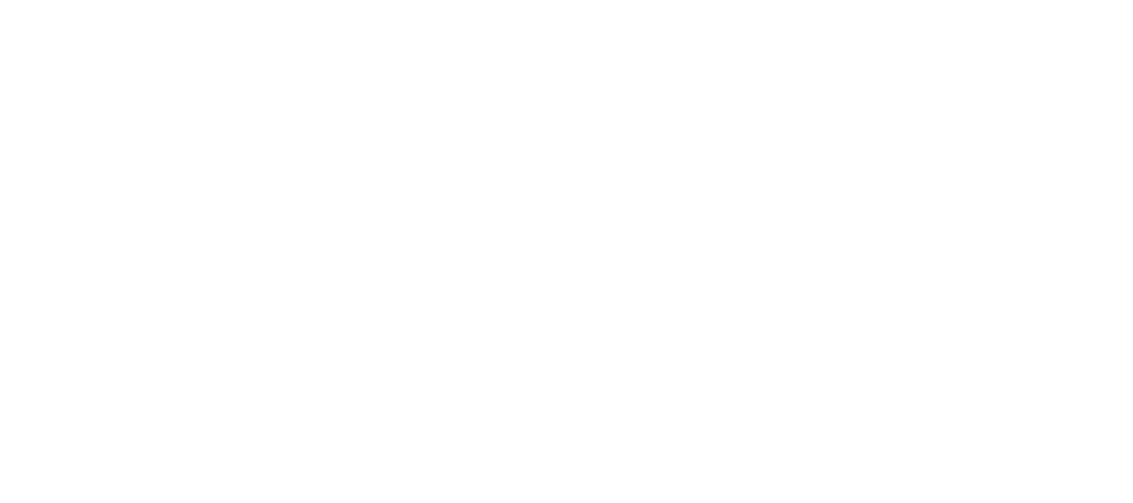 Success Story